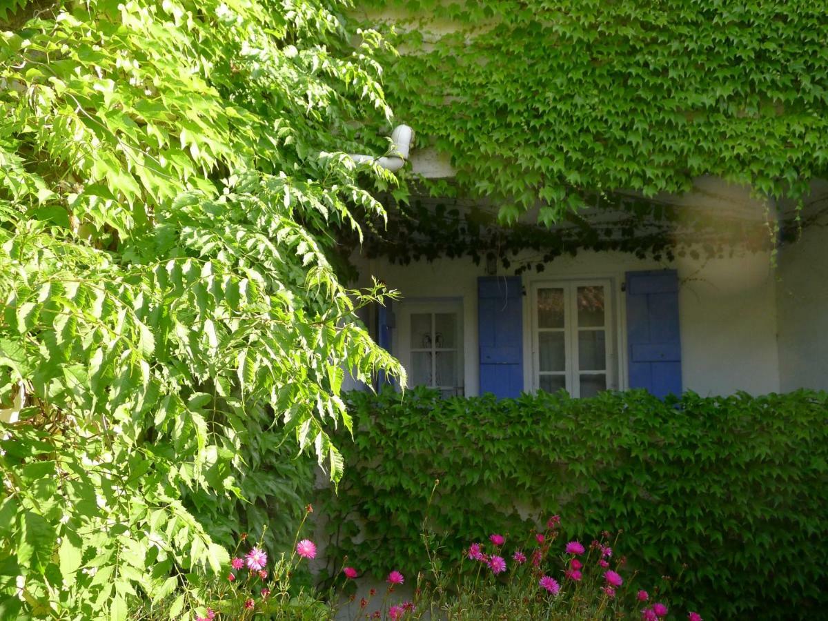 Coq Hotel Cogolin Exteriér fotografie